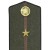 Офицеры, полевые погоны. Инженерно-командный состав (Нестроевой состав).